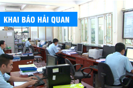 dich vu khai bao hai quan